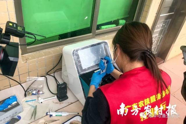 ▲ “轻骑兵”成员帮养殖户检测