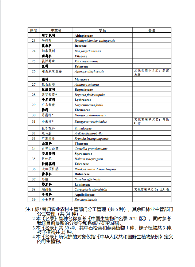 受访者供图