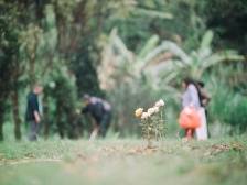 清明将至，珠海发出殡葬行业价格政策提醒告诫函