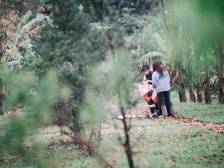 禅城发布2023年清明节文明祭扫倡议书