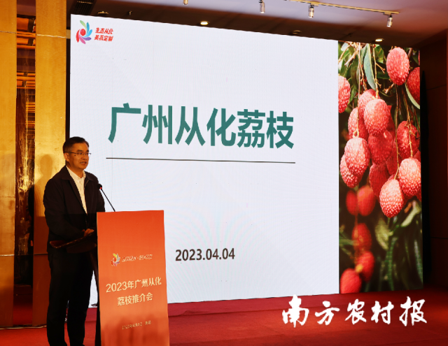 广州市从化区荔枝产业研究院院长欧阳建忠推介广州从化荔枝。