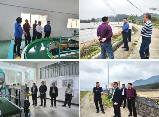 水稻所专家在清远三连地区调研。