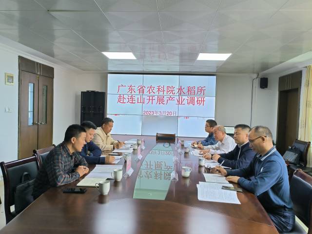 水稻所专家与连山县政府人员座谈。