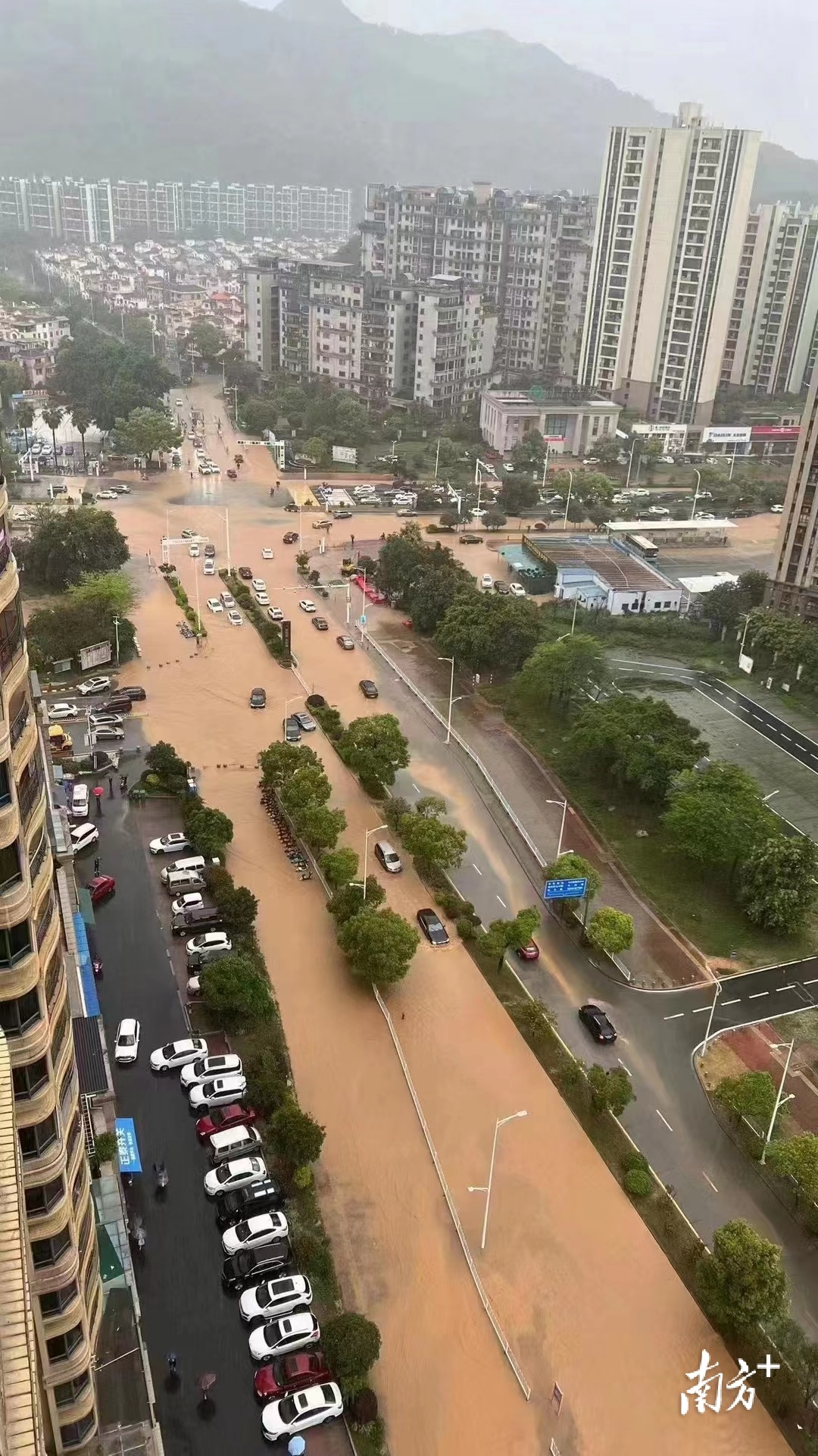 韶关武江区碧桂园太阳城路口。网友供图