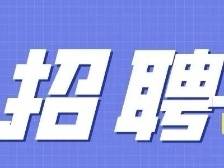 4月12日面试！大沥镇属企业招聘最新安排来了