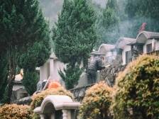 清明祭扫如何进出？南海这份最全路线图收好了