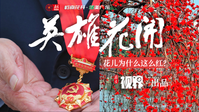 英雄花开｜谁是人间四月天？是英雄！