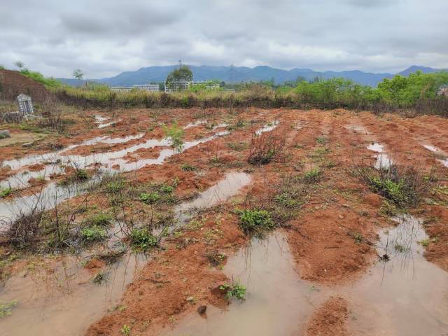 林寨镇大岭头的祖金山一角