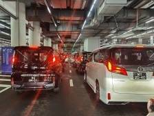 清明节，港珠澳大桥口岸客流车流显著增长