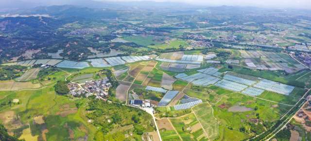 供销农场助力小农户连接大市场 