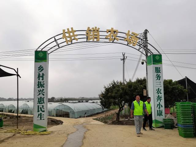 今年全省将在各地认证供销农场600个