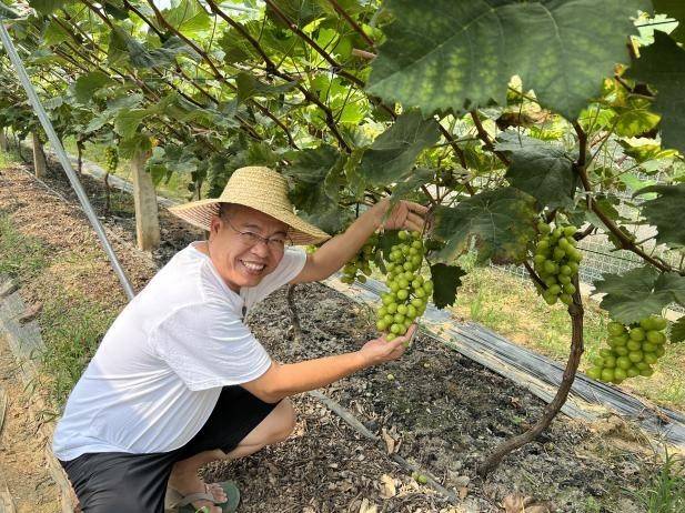 看着丰收的果实，陈肯秋露出喜悦的笑容。