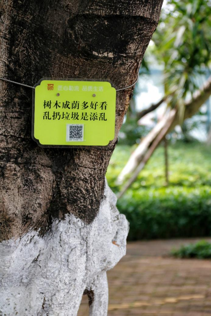 勒流街道“一树一码”精细管理老树 勒流街道“一树一码”精细管理老树