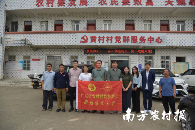 助力小蚕结“金茧”，华南农大驻镇扶村轻骑兵推广蚕桑示范技术