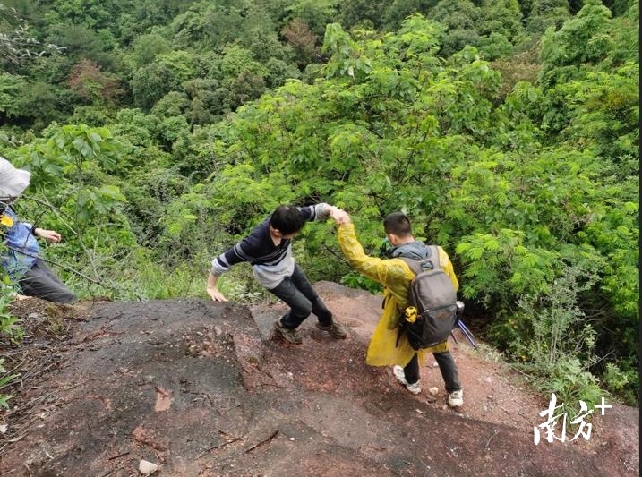 华南植物园调查团队在丹霞山开展野外考察。通讯员供图