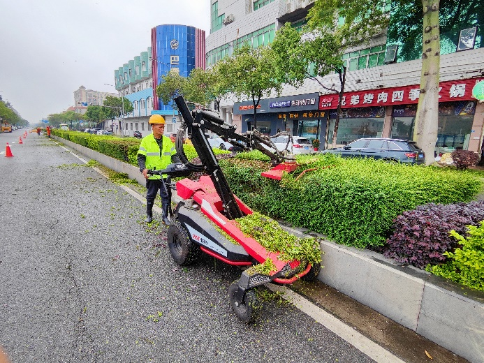 环卫工人使用自走式绿篱剪修剪绿化带
