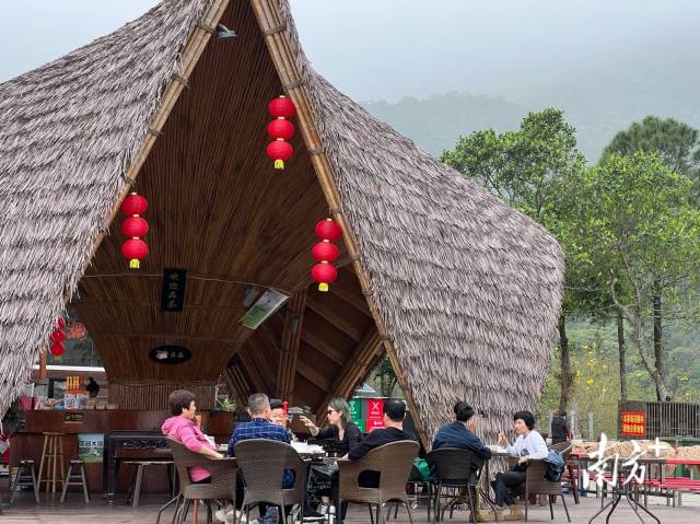 品茶茗,、觀山景，好不愜意,。