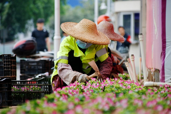 满城皆绿四季有花勒流奏响绿化美城的春之歌