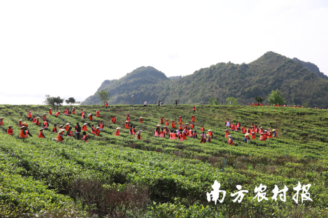 受訪者供圖