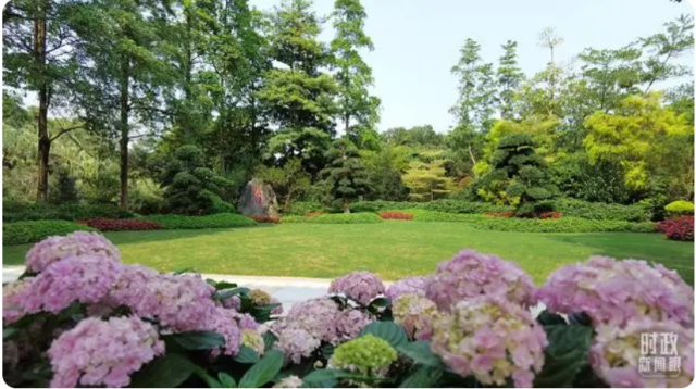 南方农村报 樊静东 制图