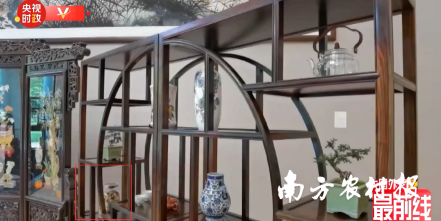 4月7日下午，中法两国元首在广州松园进行非正式会晤。新会陈皮亮相会晤现场。