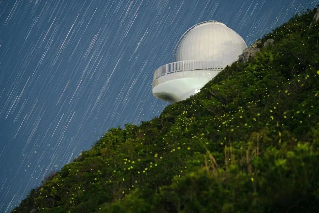深圳市天文台的萤火虫与星空,曾跃鹏摄 深圳市天文台的萤火虫与星空,曾跃鹏摄