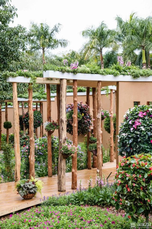 与你同梦|不同品种的花卉从地面延伸到廊桥，通过层次彰显美感，艳丽的花色带来春天的热情与奔放。