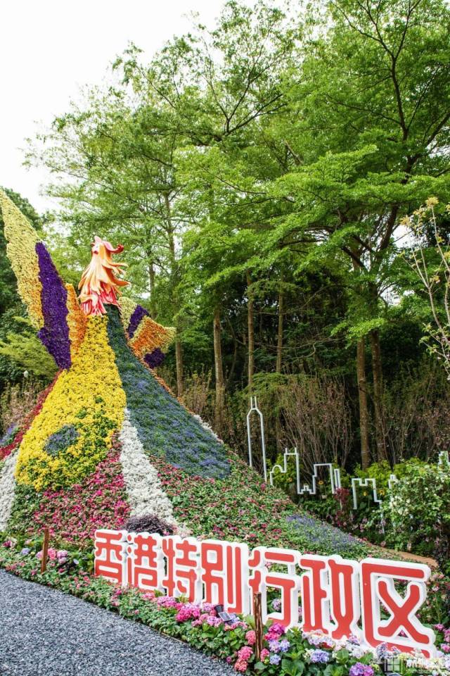 再上征途|由香港参展机构设计，独特的凤凰造型立体花坛十分抢眼。凤凰振翅，蓄势待发，也寓意着吉祥与和谐，代表香港背靠祖国，面向国际的美好前景。