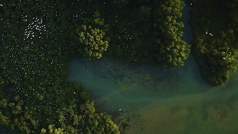 南方? 董天健 拍攝