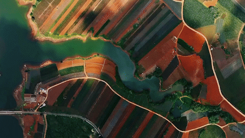 南方? 董天健 拍攝