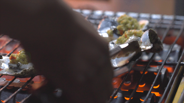 南方? 董天健 拍攝