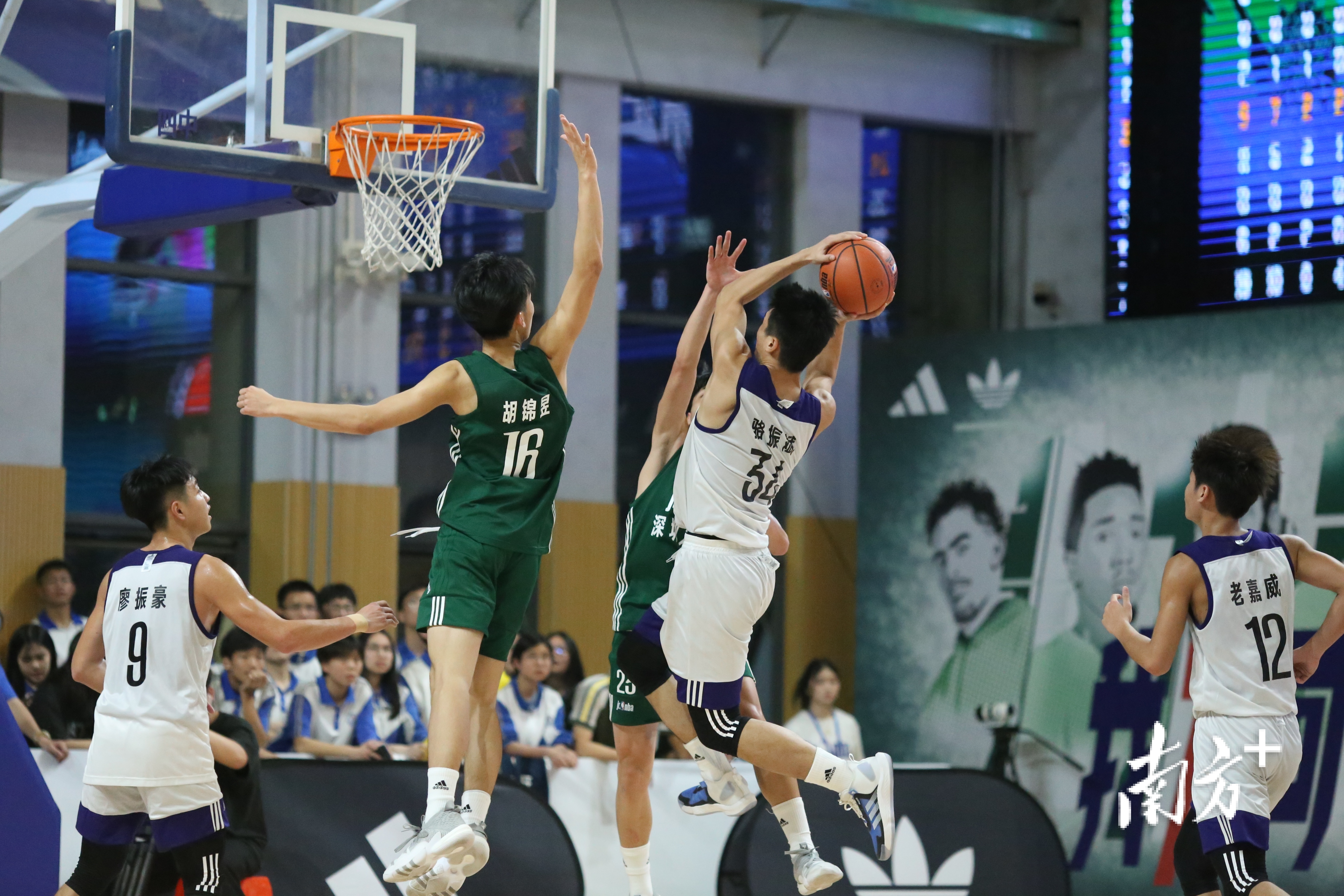 南方拍客 李玲 供图