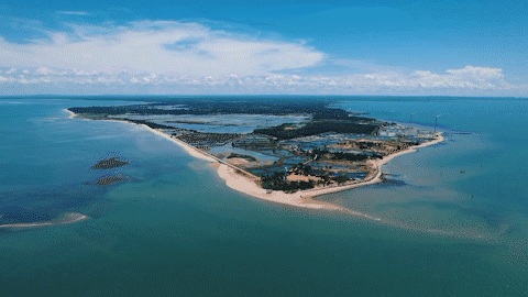 南方? 董天健 拍攝