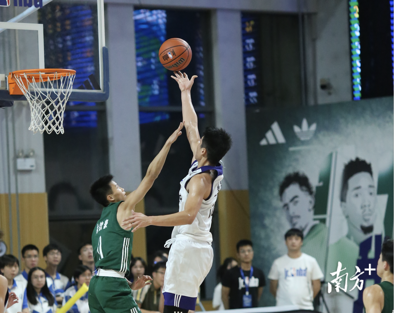 南方拍客 李玲 供图