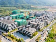 肇庆端州：党建引领“七大提升行动”赋能“百千万工程”