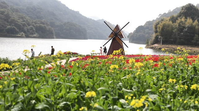 花漾乡村！花式玩法！打卡广东5条赏花线路
