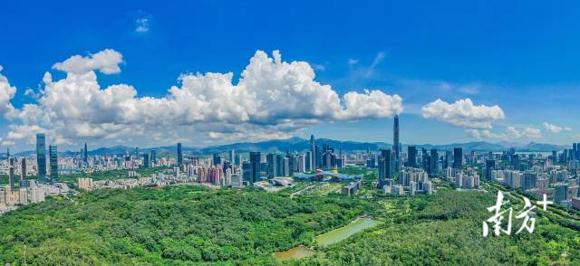 从深圳莲花山公园上空航拍深圳中心区.南方日报资料图