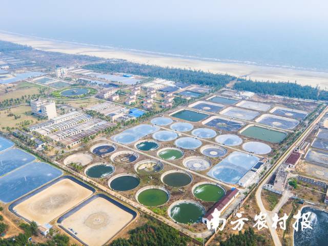 国家863计划项目海水养殖种子工程南方基地