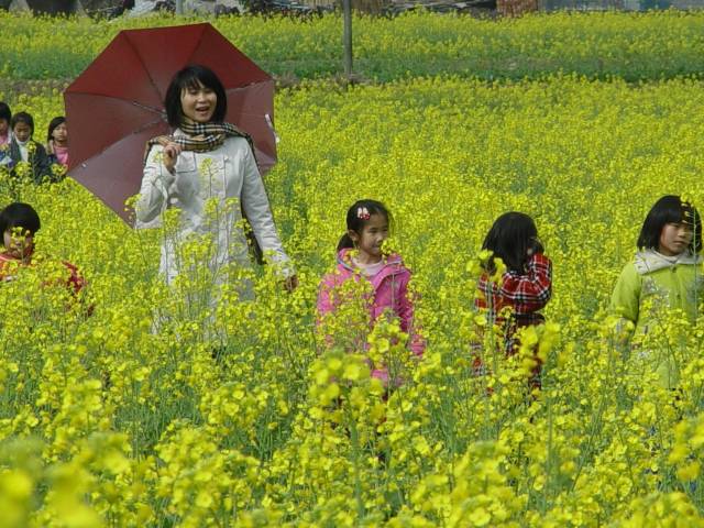 “花文化”的兴起，让广大群众切身享受到生态福祉。