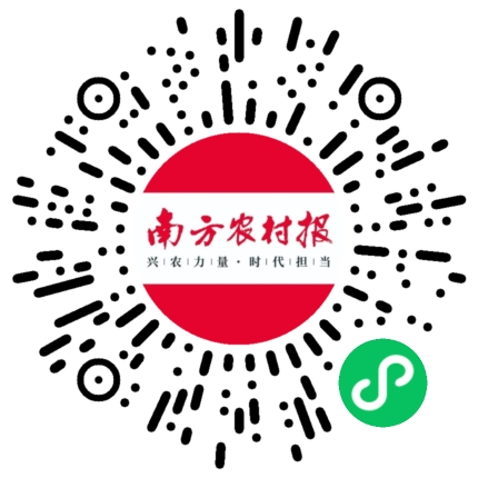 扫码关注南方农村报数字报，获得更多三农新闻资讯