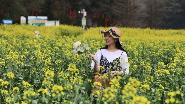 石门国家森林公园，油菜花海吸引游人前来打卡。