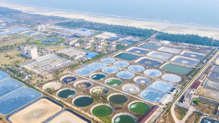 国家863计划项目海水养殖种子工程南方基地，是什么地方?