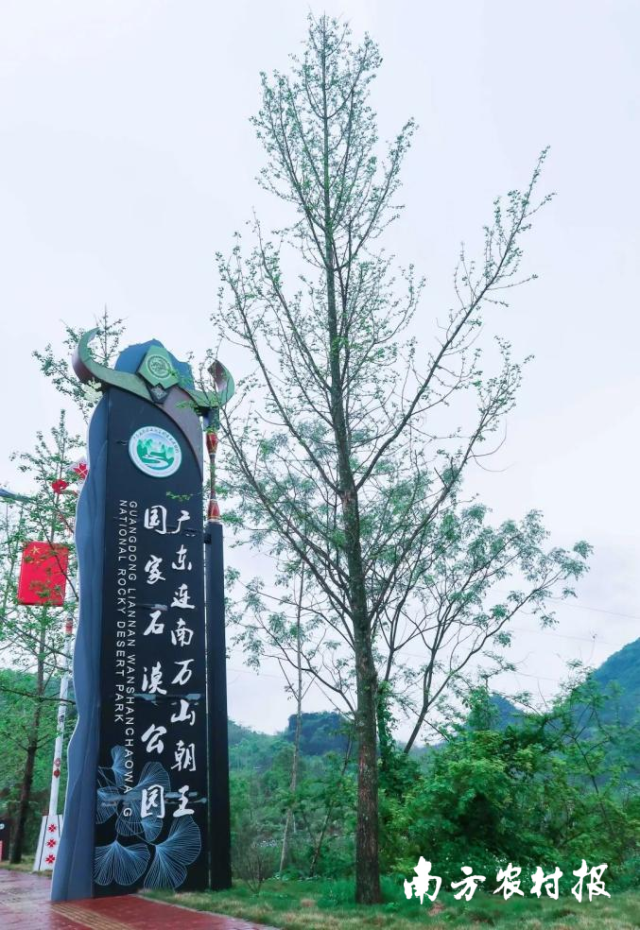 （赛段9-15km）万山朝王国家石漠公园