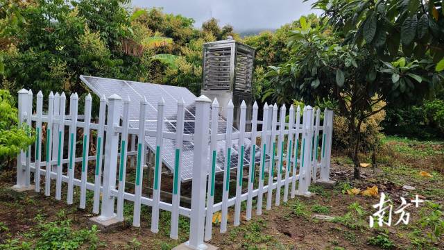 荔枝病虫害监测系统。