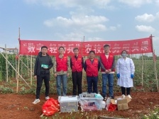 豇豆病蟲害怎樣防治？滴灌施藥已落地應(yīng)用 | 輕騎兵田頭課