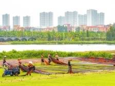 红色基因润星海｜从湾心出发 与世界对话