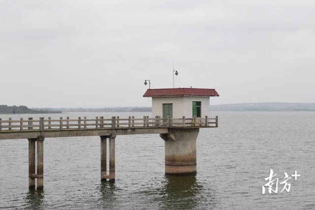 大水桥水库为解决徐闻中西部地区的干旱,以及县城人民的生活用水问题,起到非常重要的作用。 南方日报记者 肖雄 郭龙碧 摄 大水桥水库为解决徐闻中西部地区的干旱,以及县城人民的生活用水问题,起到非常重要的作用。 南方日报记者 肖雄 郭龙碧 摄