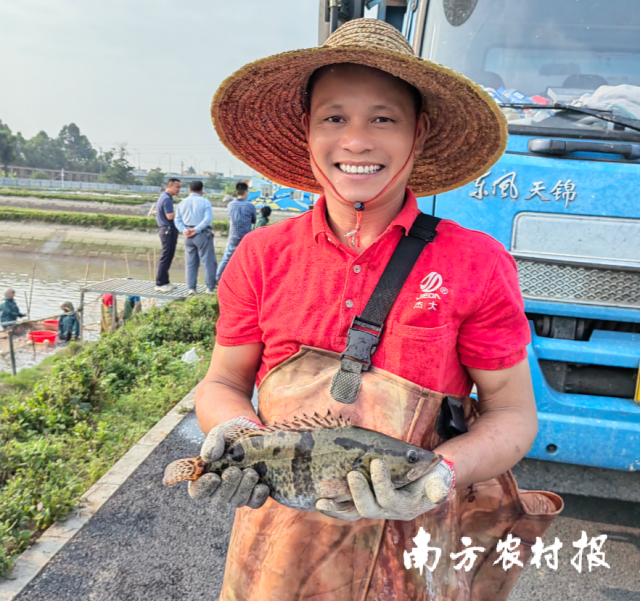 “广清1号”在长速、均匀度、养殖效益等方面有明显优势