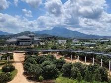 荔枝之乡的富民兴村之道 | 速览《南方日报·高州视窗》98期