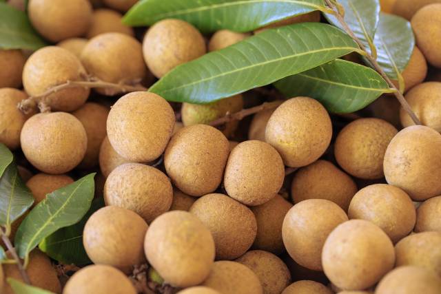 南方农村报 樊静东 制图